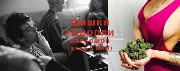 PSILOCYBIN Алзамай