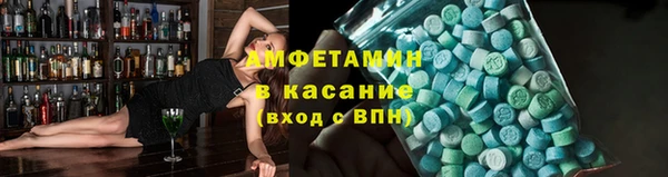 гидра Аркадак
