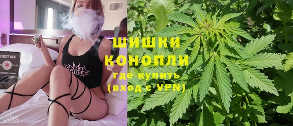 гидра Аркадак