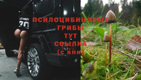 соль ск Сатка
