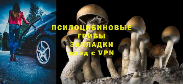 гидра Аркадак