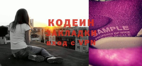 PSILOCYBIN Алзамай
