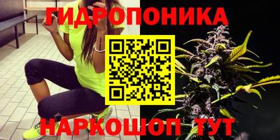 эйфоретик Конаково