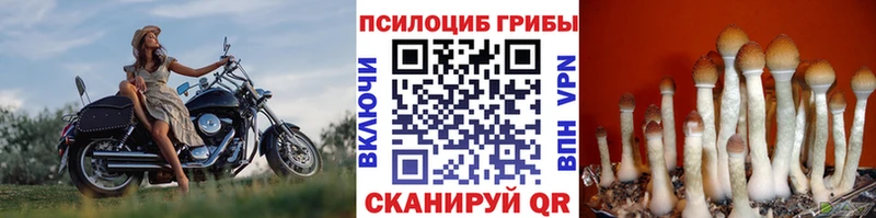 Галлюциногенные грибы мухоморы  Лесосибирск 