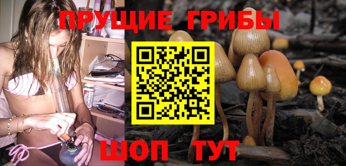 Псилоцибиновые грибы мицелий  Вход с VPN  купить   Лесосибирск 