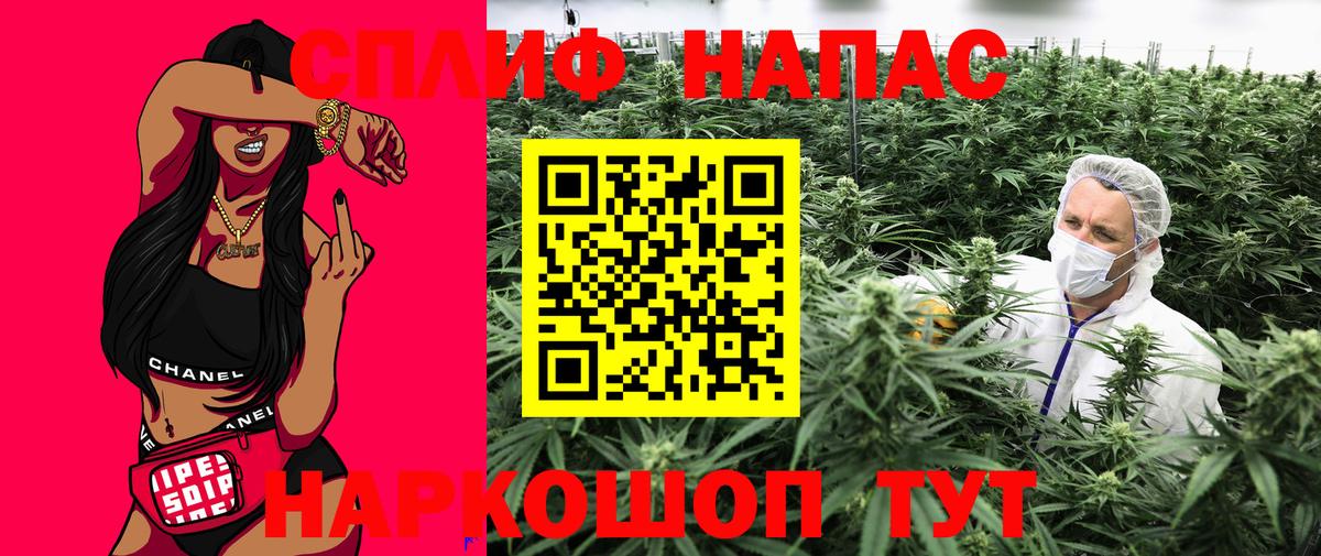 Канабис гибрид Лесосибирск